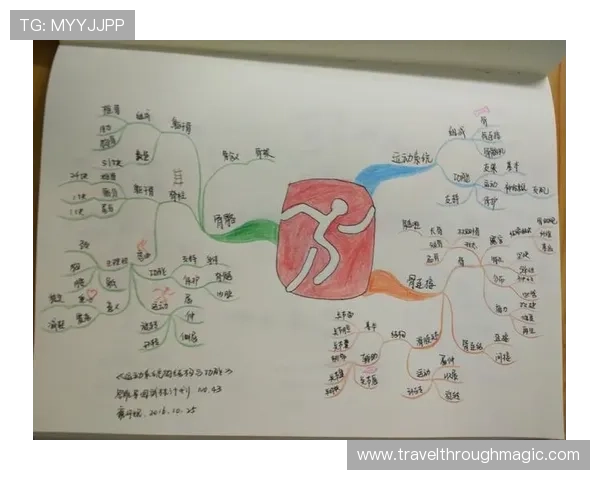 od体育app常见问题与解决方案，帮助用户排除使用中的各种困扰与技术难题